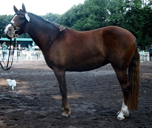 Surprise bei Eintragung